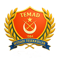 Temad Logo